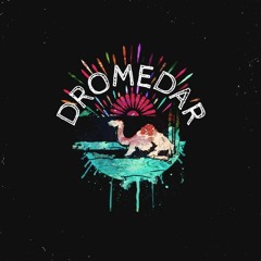 DROMEDAR