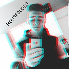 HOUSEDUDES