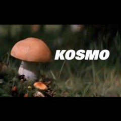 KOSMO