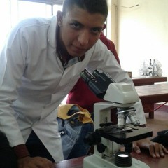 Ammar Elsayed Shehata