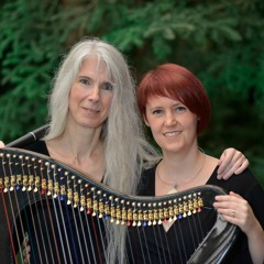 Wildwood Harp and Flute Duo