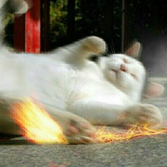 Feelsgoodcat