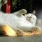 Feelsgoodcat