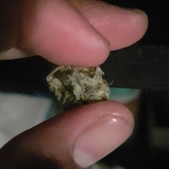 GudBudzZ