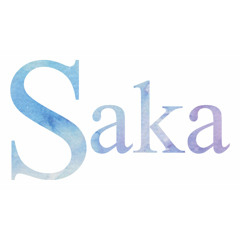 tomer saka