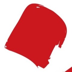 Amir Hossein Shamsaiee