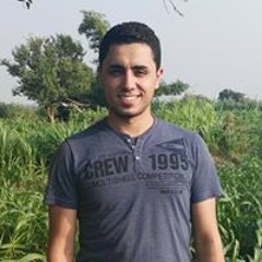 مصطفى اللباد