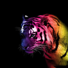 Insidious Tiger
