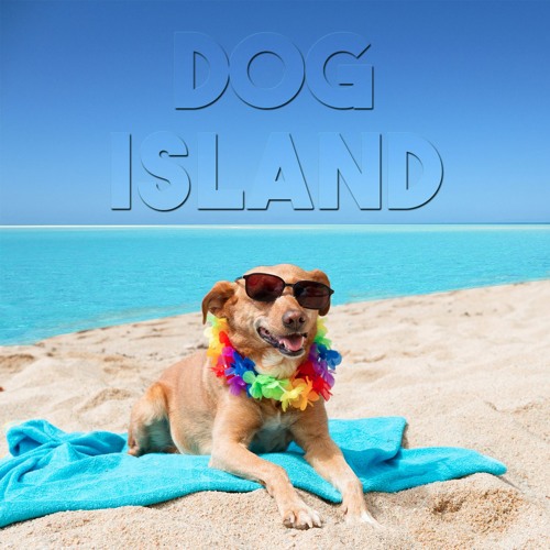 Stream Dog Island music Listen to songs, albums, playlists for free
