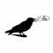 Mr.Crow.