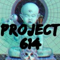 Project614