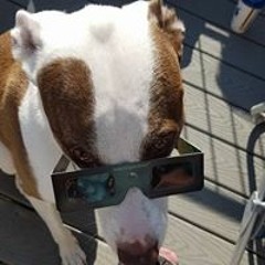 Sheila Hanson Larson