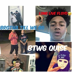 BTWG QUISE