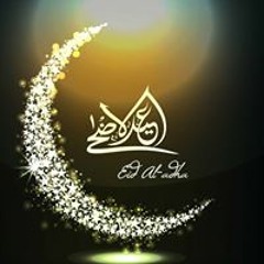 Sehar Gull