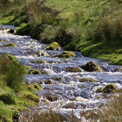 Tuna and Shamin Podcast