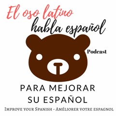 El oso latino habla español / Learn Spanish