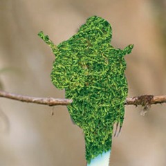 man in the moon (help me i'm stuck)