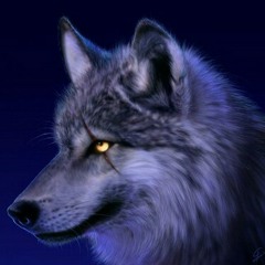 darkwolf king