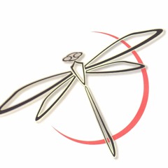 dragonfly_project