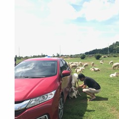 Thái Huỳnh Bảo Khương