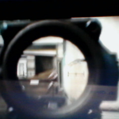 TeamTrees