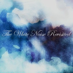 The White Noise Revisited