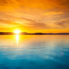 Jose Luis Zuñiga Campos