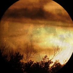 Izzy and the BlackTrees