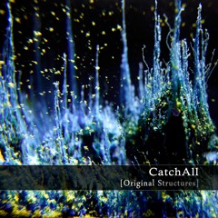 CatchAll