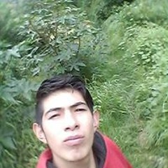 User 386168334