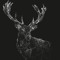 Adam Knaggs