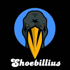 Shoebillius