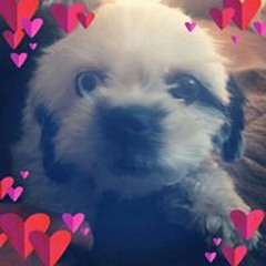 Kathryn Greathead Brouwer