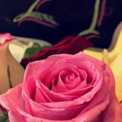 zozaqahtani