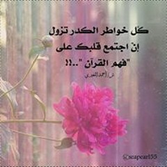 أم زيد
