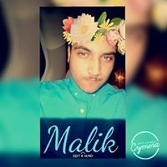 Raza Hussain Malik