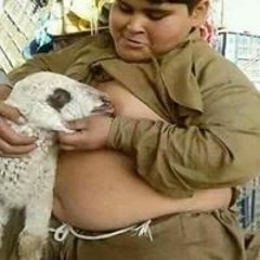 سليمان محمد حسن ابوصوان