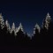Hidden Forrest