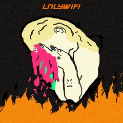 LNLYWIFI