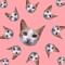 PerryTheCat