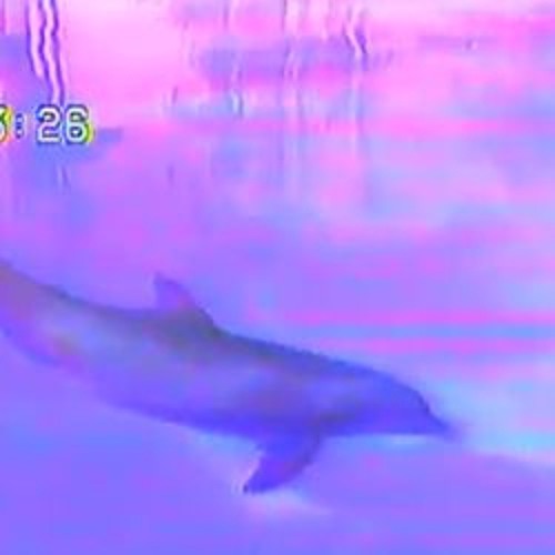 SPOOKWAVE - Remix
