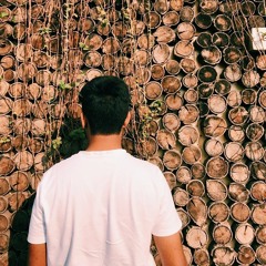 Fahmidul Islam Towfi