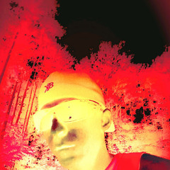 Travis Fogle