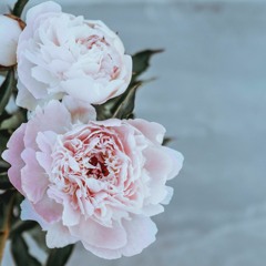 천년의 신곡:아이유 (음양사ost)
