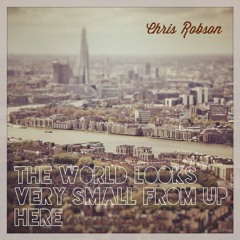 The Chris Robson Band