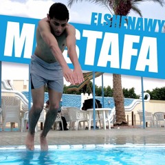 Mostafa Hany Elshenawy