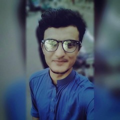 Sabih Ul Hasan