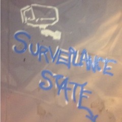 Surveillance State