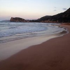 Argenis Jose Vera Valor