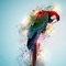 Chilled Macaw